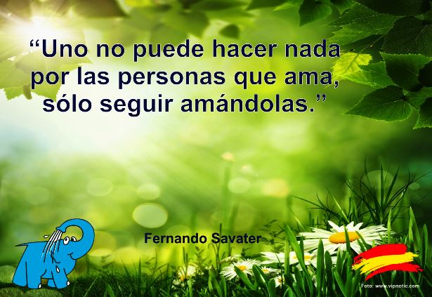 Uno no puede hacer nada por las personas que ama, sólo seguir amándolas.
